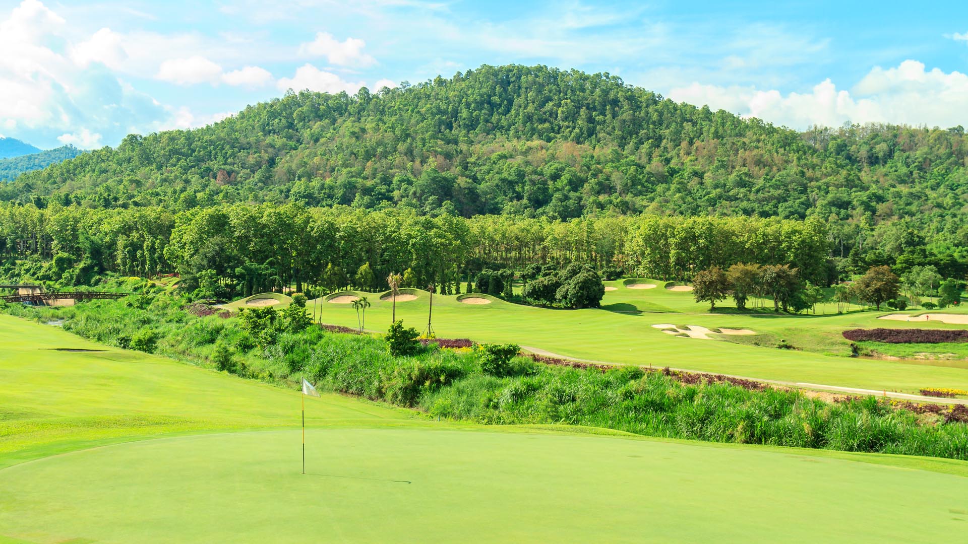 Golf Court